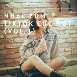 Nhạc EDM TikTok Cực Hot (Vol. 3) - V.A