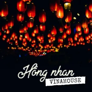 Hồng Nhan Vinahouse - V.A