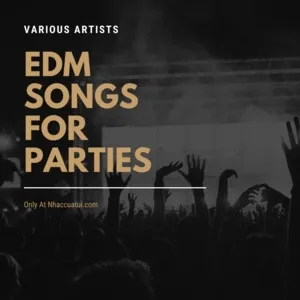EDM Songs For Parties - V.A