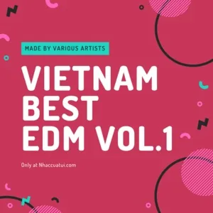 Vietnam Best EDM (Vol. 1) - V.A