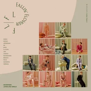 Maiochiruhanabira (Fallin' Flower) (Single) - Seventeen