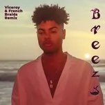 Breezy (Viceroy & French Braids Remix) (Single) - Tate Tucker