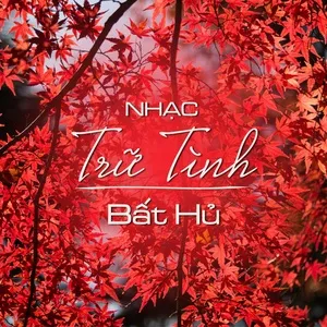 Nhạc Trữ Tình Bất Hủ - V.A