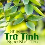 Download nhạc Nhạc Trữ Tình Nghe Nhói Tim Mp3