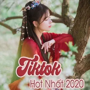 Nhạc TikTok Hot Nhất 2020 - V.A