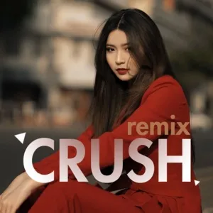 Crush Remix - V.A