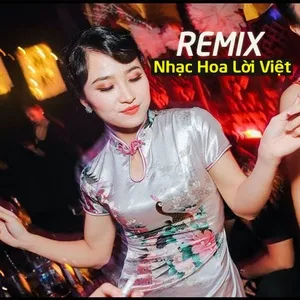 Remix Nhạc Hoa Lời Việt Hay Nhất - V.A