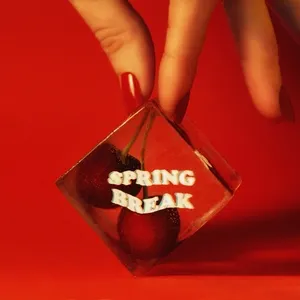 Spring Break (Single) - AJ Mitchell, Rich The Kid