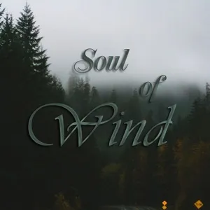 Soul Of Wind - V.A