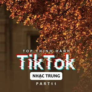 Top Thịnh Hành TikTok (Nhạc Trung) - Part 11 - V.A