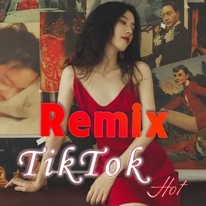Remix TikTok Hot - V.A