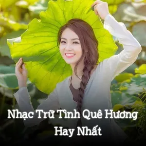 Nhạc Trữ Tình Quê Hương Hay Nhất - V.A
