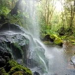 Tịnh Tâm Nhạc Khúc (New Age)