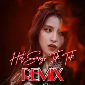 Hot Songs TikTok Remix - V.A