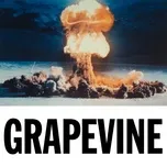 Nghe nhạc Grapevine (Single) - Tiesto