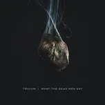 Nghe nhạc Amongst The Shadows & The Stones (Single) - Trivium