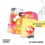 Nghe nhạc Are You With Me? (DJ Zinc Remix) (Single) - Kudu Blue