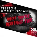 Nghe ca nhạc What You're Waiting For (Single) - Tiesto, Ummet Ozcan