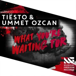 What You're Waiting For (Single) - Tiesto, Ummet Ozcan