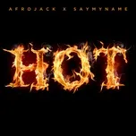 Ca nhạc Hot (Single) - Afrojack, SAYMYNAME