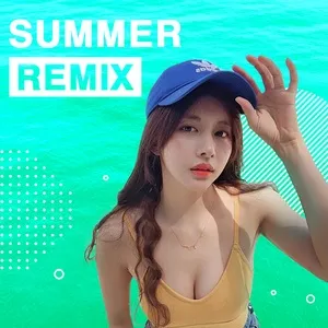 Summer Remix - V.A