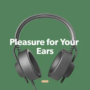 Pleasure For Your Ears - V.A
