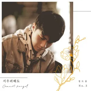 Can Not Forget (Single) - Jeong Doyun