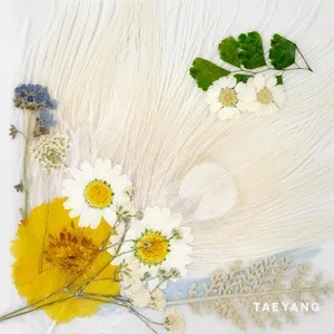 White Night - Taeyang