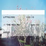 Nghe nhạc The Feeling (Single) - LittGloss