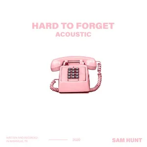 Hard To Forget (Acoustic) (Single) - Sam Hunt
