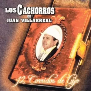 12 Corridos De Lujo - Los Cachorros De Juan Villarreal