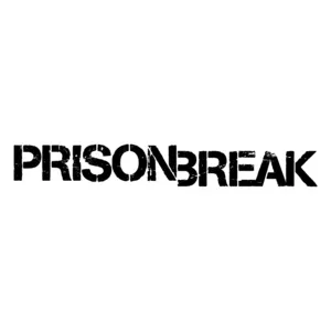 Prison Break Theme (Single) - Ramin Djawadi