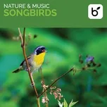 Nature  Music: Songbirds - Brian Hardin