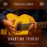Nghe nhạc Haunting Forest - Chano Diaz Limaco