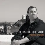 Ca nhạc O Cante Do Fado - Pedro Calado