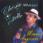 Nghe nhạc Che Ne Sanno E Stelle - Mimmo Angrisano