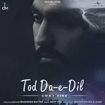Tải nhạc Tod Da E Dil (Single) - Ammy Virk
