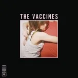 Nghe nhạc hay What Did You Expect From The Vaccines? Mp3 online
