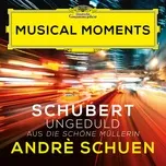 Schubert: Die Schone Mullerin, Op. 25, D. 795: VII. Ungeduld (Single) - Andre Schuen, Daniel Heide