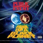 Nghe ca nhạc Fear Of A Black Planet - Public Enemy