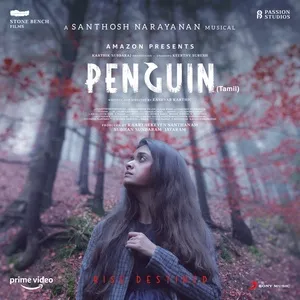 Penguin (Original Motion Picture Soundtrack) - Santhosh Narayanan