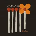 Ca nhạc Burn (Single) - AJ Mitchell