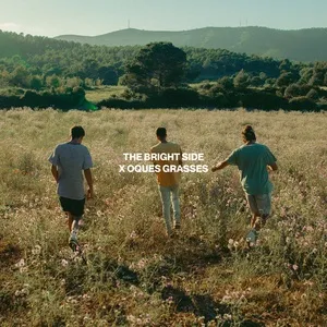 The Bright Side (Single) - Stay Homas, Oques Grasses