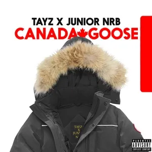 Canada Goose (Single) - Tayz, Junior NRB