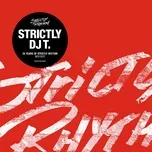 Strictly DJ T.: 25 Years Of Strictly Rhythm - V.A