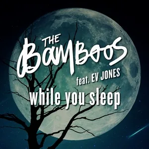 While You Sleep (Single) - The Bamboos, Ev Jones
