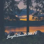 Jungle Sounds Vol. 19 - V.A