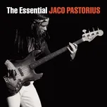 Tải nhạc The Essential Jaco Pastorius Mp3 chất lượng cao