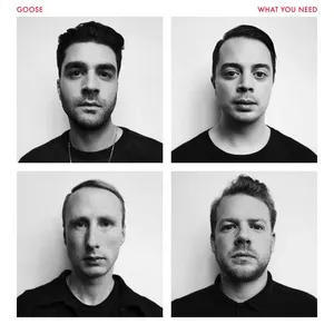 What You Need - Goose