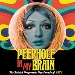 Download nhạc Peephole In My Brain: The British Progressive Pop Sound Of 1971 Mp3